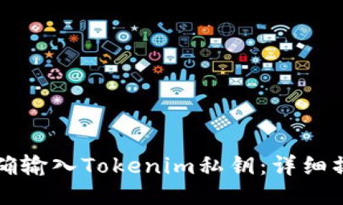 如何正确输入Tokenim私钥:详细操作指南