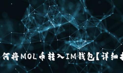 如何将MOL币转入IM钱包?详细指南