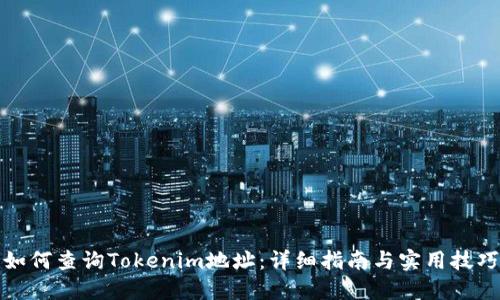 如何查询Tokenim地址:详细指南与实用技巧