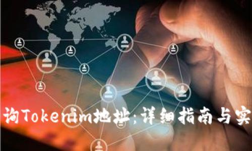 如何查询Tokenim地址:详细指南与实用技巧