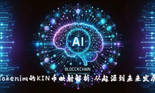 Tokenim的KIN币映射解析:从起源到未来发展