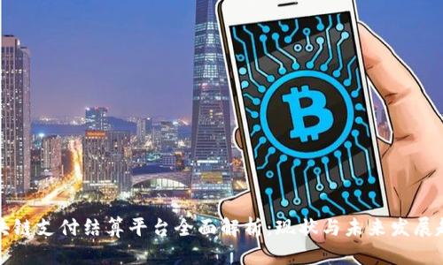 区块链支付结算平台全面解析:现状与未来发展趋势