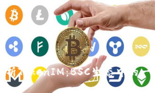 深入解析TokenIM:BSC生态中的一颗明珠