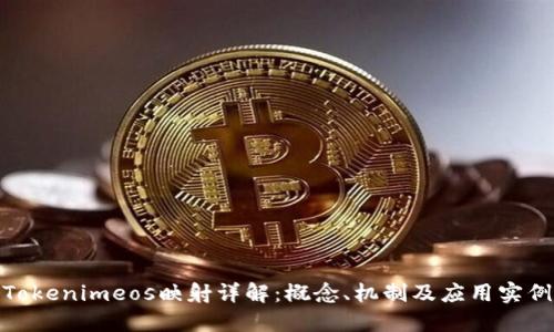 Tokenimeos映射详解:概念、机制及应用实例