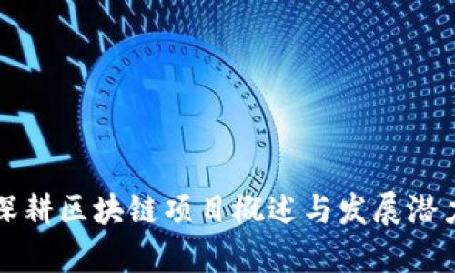 海南深耕区块链项目概述与发展潜力分析