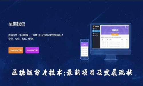 区块链分片技术:最新项目及发展现状