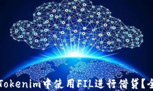 如何在Tokenim中使用FIL进行借贷?全面指南