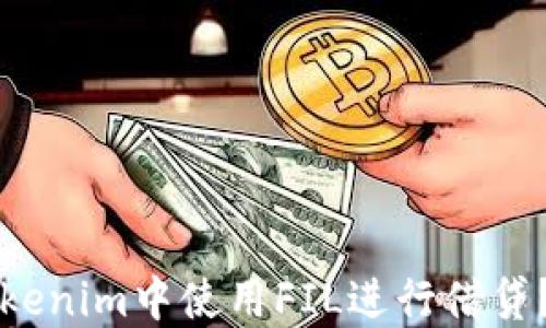 如何在Tokenim中使用FIL进行借贷?全面指南