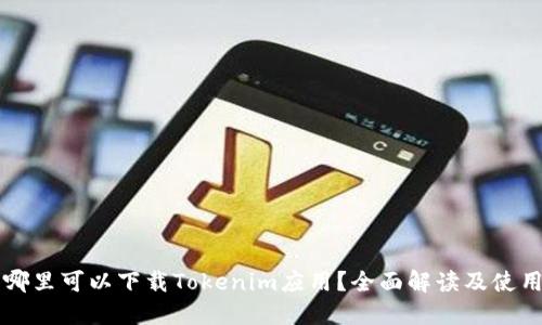 国内哪里可以下载Tokenim应用?全面解读及使用指南