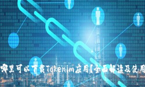国内哪里可以下载Tokenim应用?全面解读及使用指南