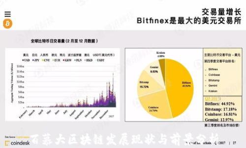 
百慕大区块链发展现状与前景分析