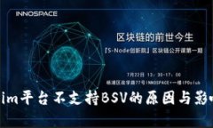 Tokenim平台不支持BSV的原因