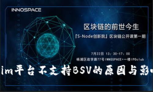 Tokenim平台不支持BSV的原因与影响分析