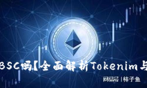 Tokenim支持BSC吗?全面解析Tokenim与BSC的兼容性