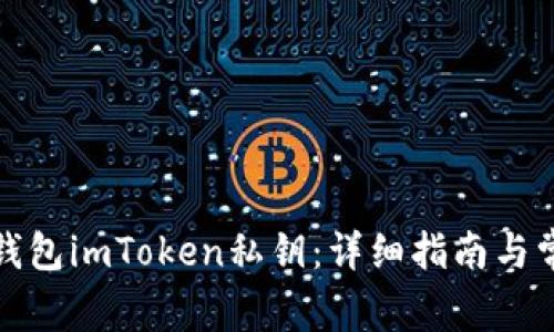 如何使用冷钱包imToken私钥：详细指南与常见问题解答