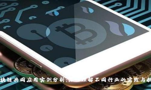 区块链共同应用实例分析：深入理解不同行业的实践与挑战