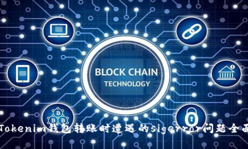 解决Tokenim钱包转账时遭遇的sigerror问题全面指南