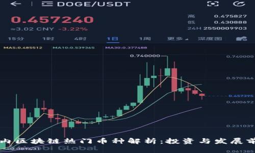 国内区块链热门币种解析：投资与发展前景