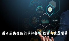 国内区块链热门币种解析