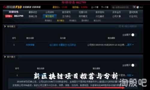 新区块链项目推荐与分析