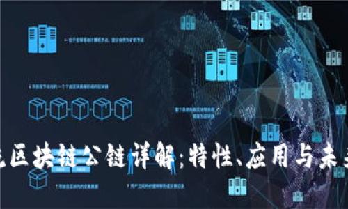 : 主流区块链公链详解:特性、应用与未来趋势