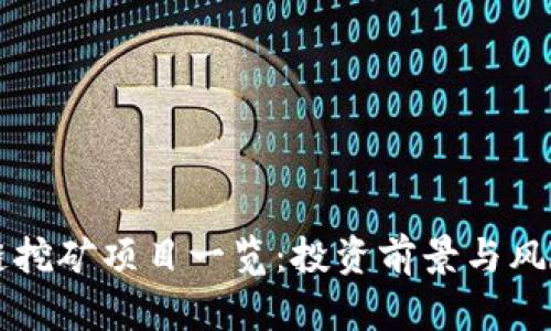 区块链挖矿项目一览：投资前景与风险分析