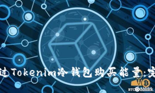 如何通过Tokenim冷钱包购买能量:完整指南