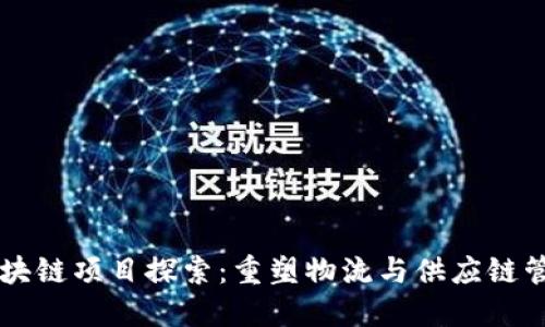 美洲港口区块链项目探索:重塑物流与供应链管理的新未来
