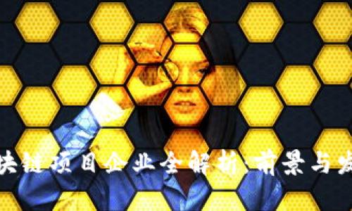 合肥区块链项目企业全解析:前景与发展趋势