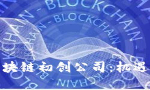 投资区块链初创公司:机遇与挑战