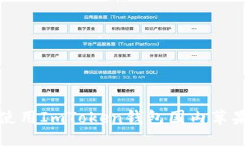 如何获取及使用ImToken钱包国内苹果内测版详解