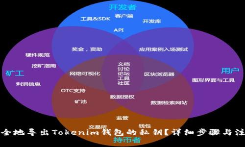 如何安全地导出Tokenim钱包的私钥?详细步骤与注意事项