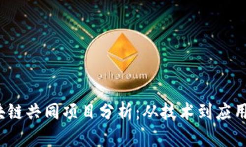 2023年区块链共同项目分析:从技术到应用的全面解读
