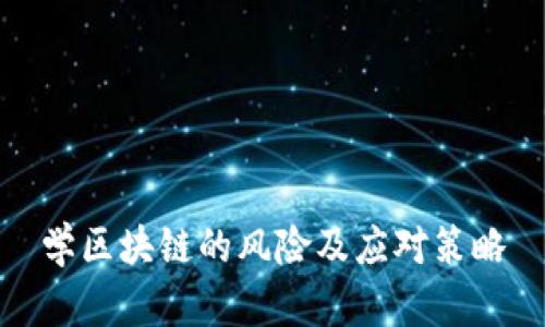 学区块链的风险及应对策略