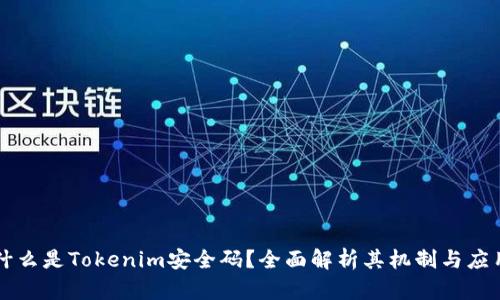 什么是Tokenim安全码？全面解析其机制与应用