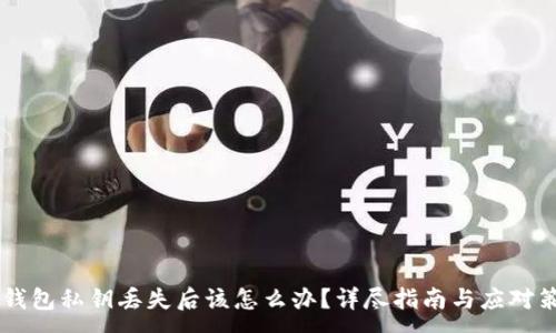 :
IM钱包私钥丢失后该怎么办？详尽指南与应对策略