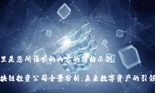 这里是您所请求的内容的结构示例：

区块链投资公司全景分析：未来数字资产的引领者