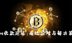 Tokenim收款延迟：有效应对