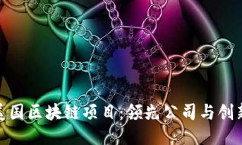 探索美国区块链项目：领先公司与创新趋势