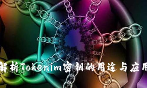 深入解析Tokenim密钥的用途与应用场景