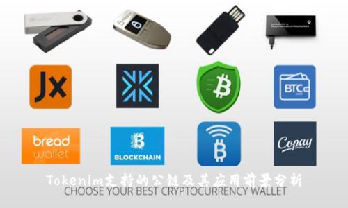 Tokenim支持的公链及其应用前景分析