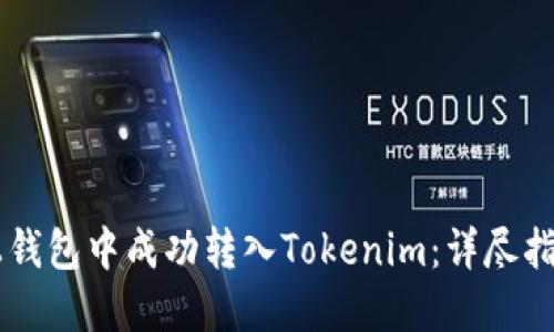 如何在OK链上钱包中成功转入Tokenim：详尽指南与实用技巧