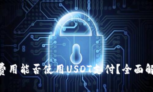 Tokenim转账费用能否使用USDT支付？全面解析及操作指南