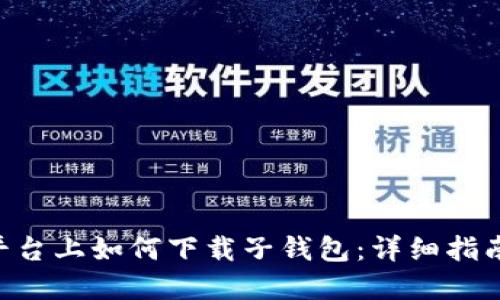 在Tokenim平台上如何下载子钱包：详细指南与操作步骤