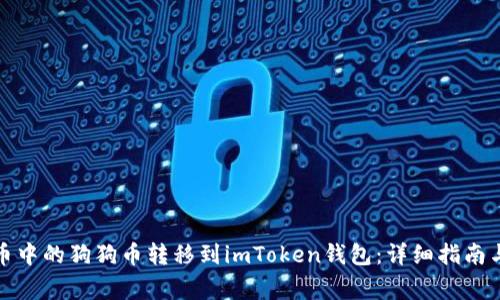 如何将火币中的狗狗币转移到imToken钱包：详细指南与注意事项