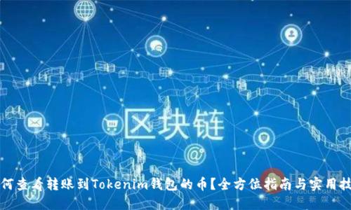 如何查看转账到Tokenim钱包的币？全方位指南与实用技巧