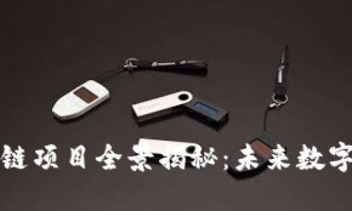 山西大同区块链项目全景揭秘：未来数字经济的引领者