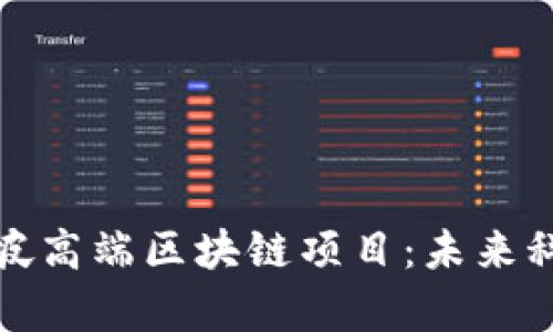 探索新加坡高端区块链项目：未来科技的前沿