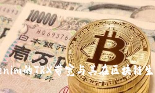 深入解析Tokenim的TRX带宽与其在区块链生态中的重要性