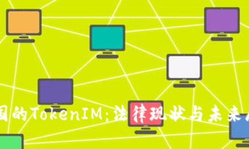 中国的TokenIM：法律现状与未来展望
